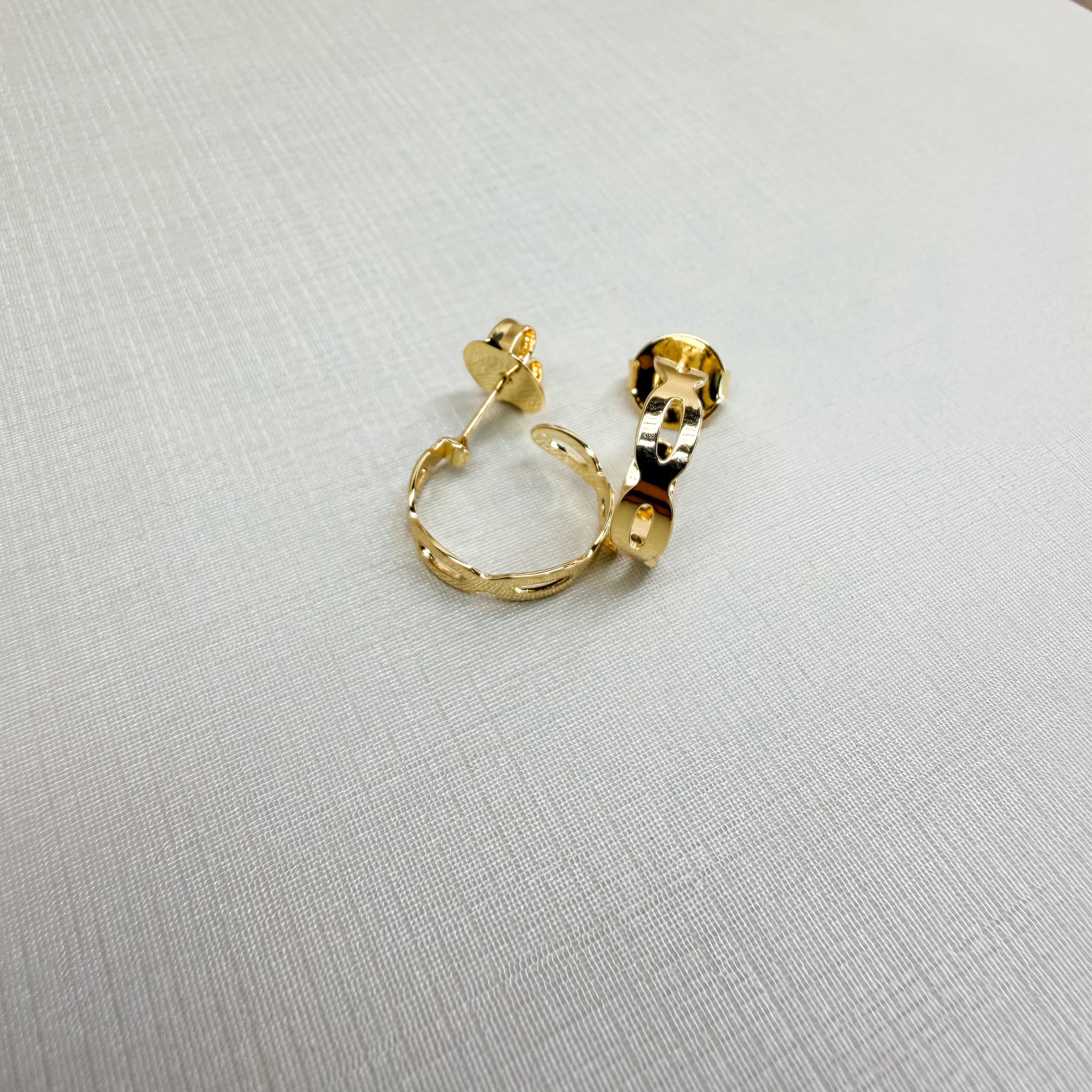 Earrings 220112