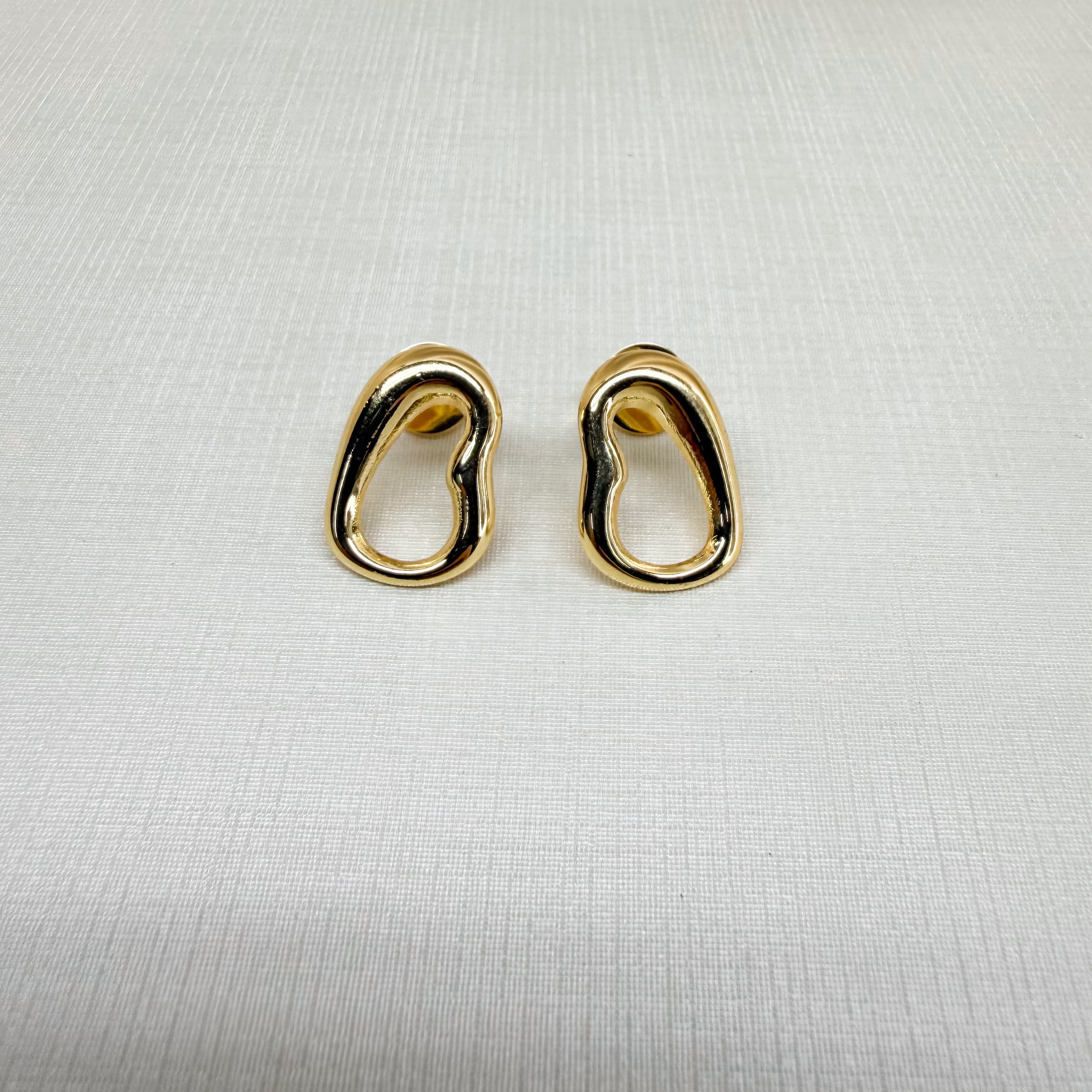 Earrings 220117