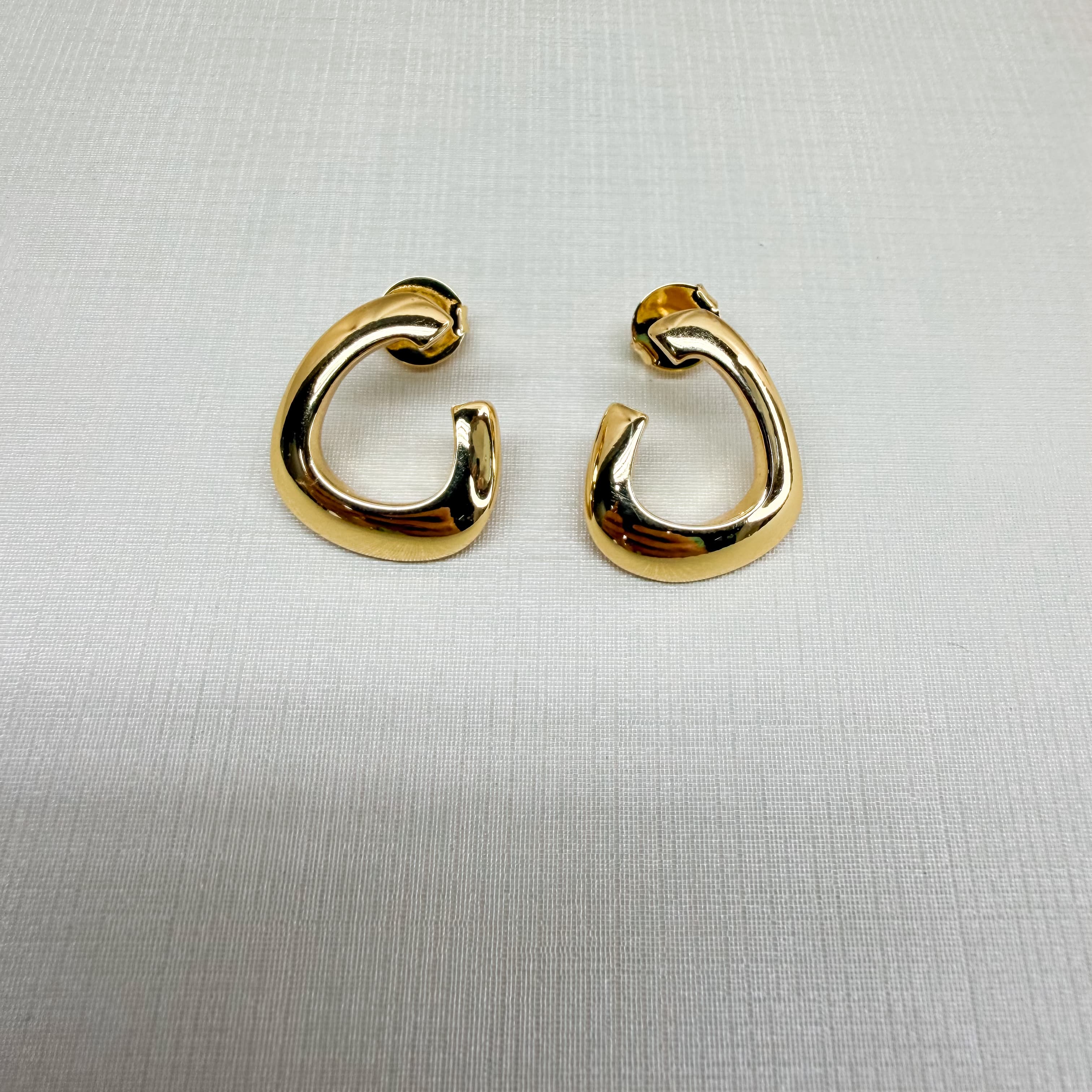Earrings 220119