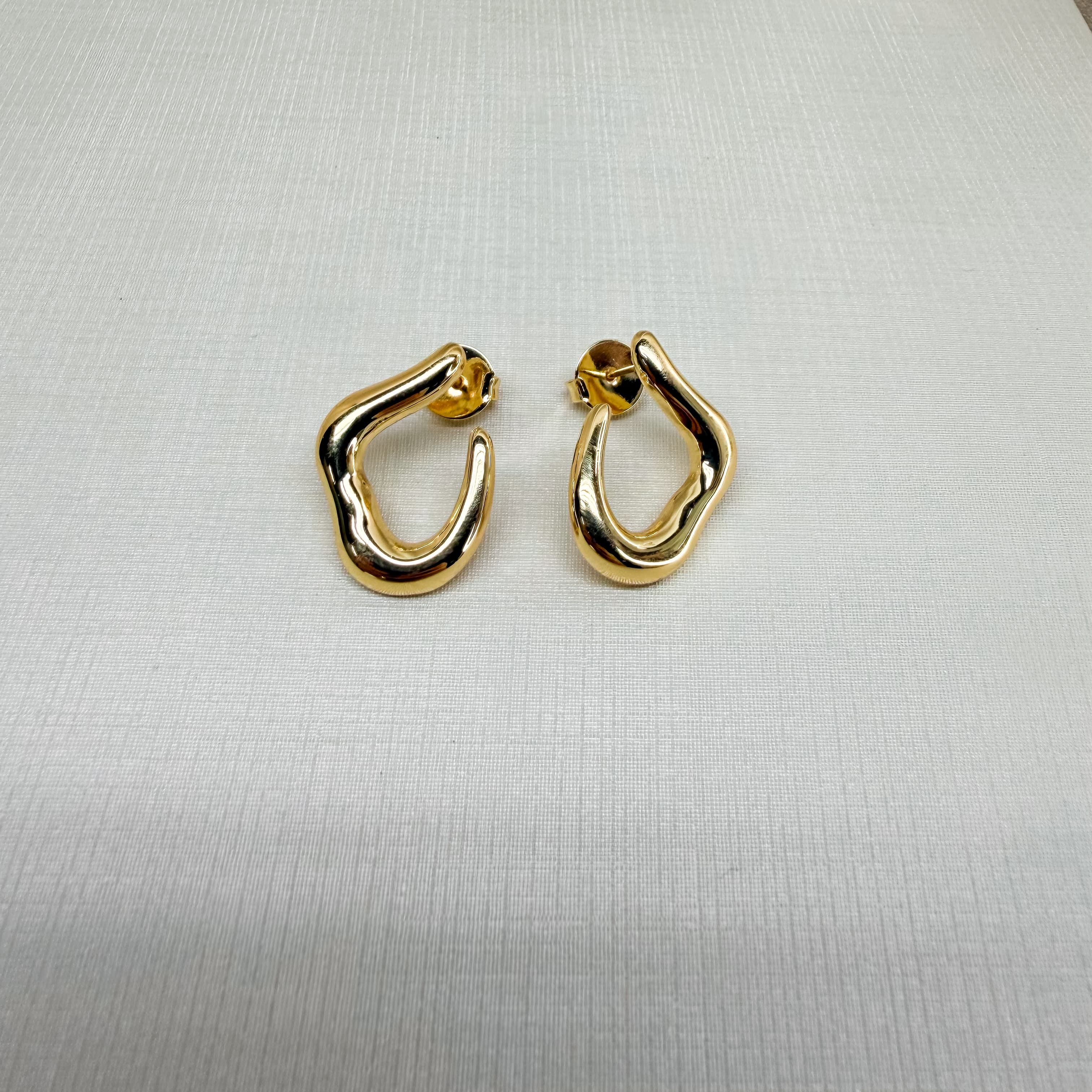 Earrings 220120