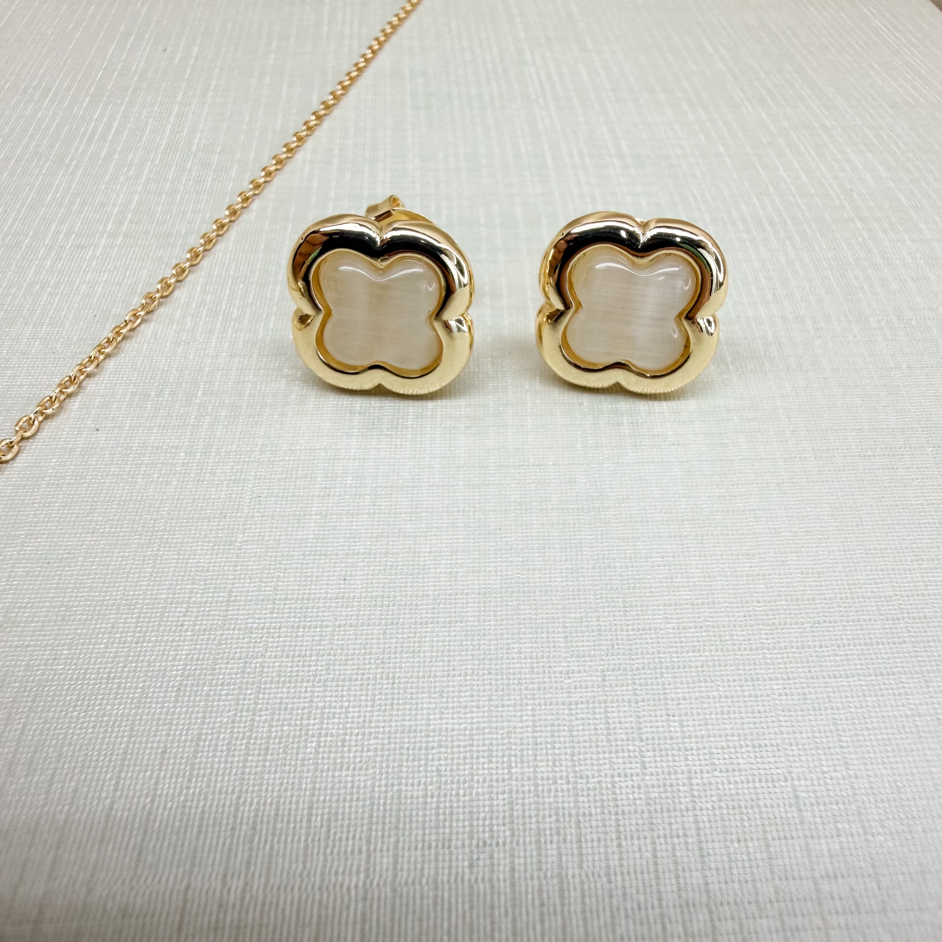 Earrings 220141