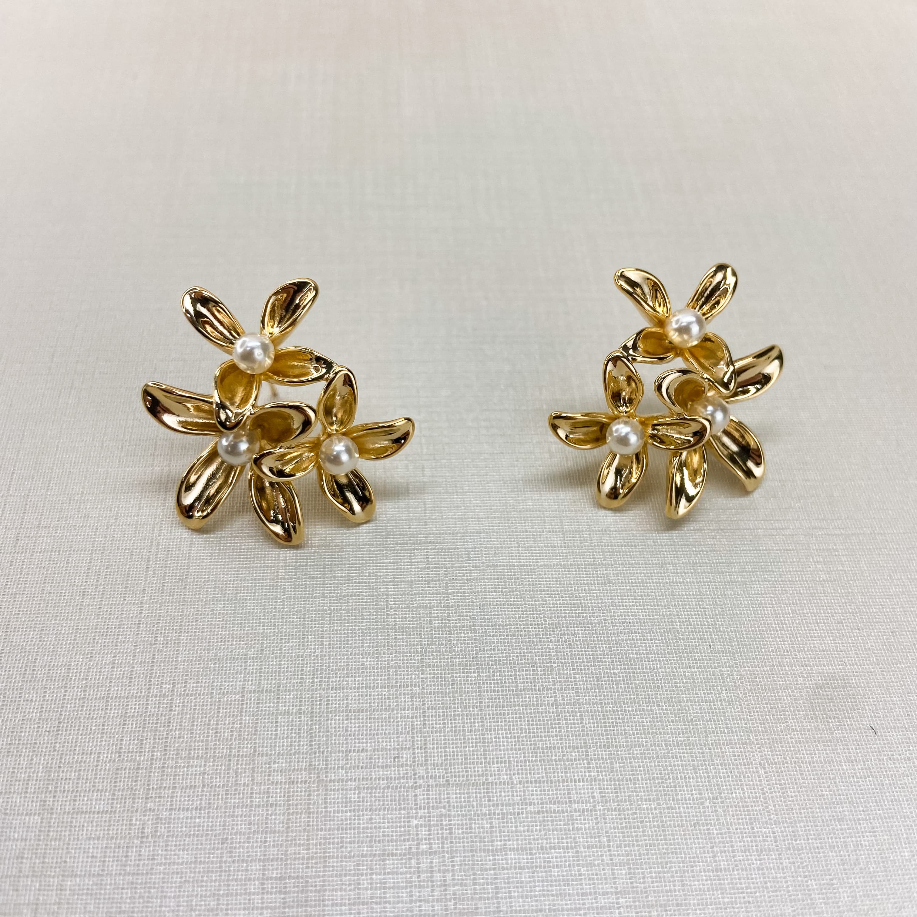 Earrings 220319