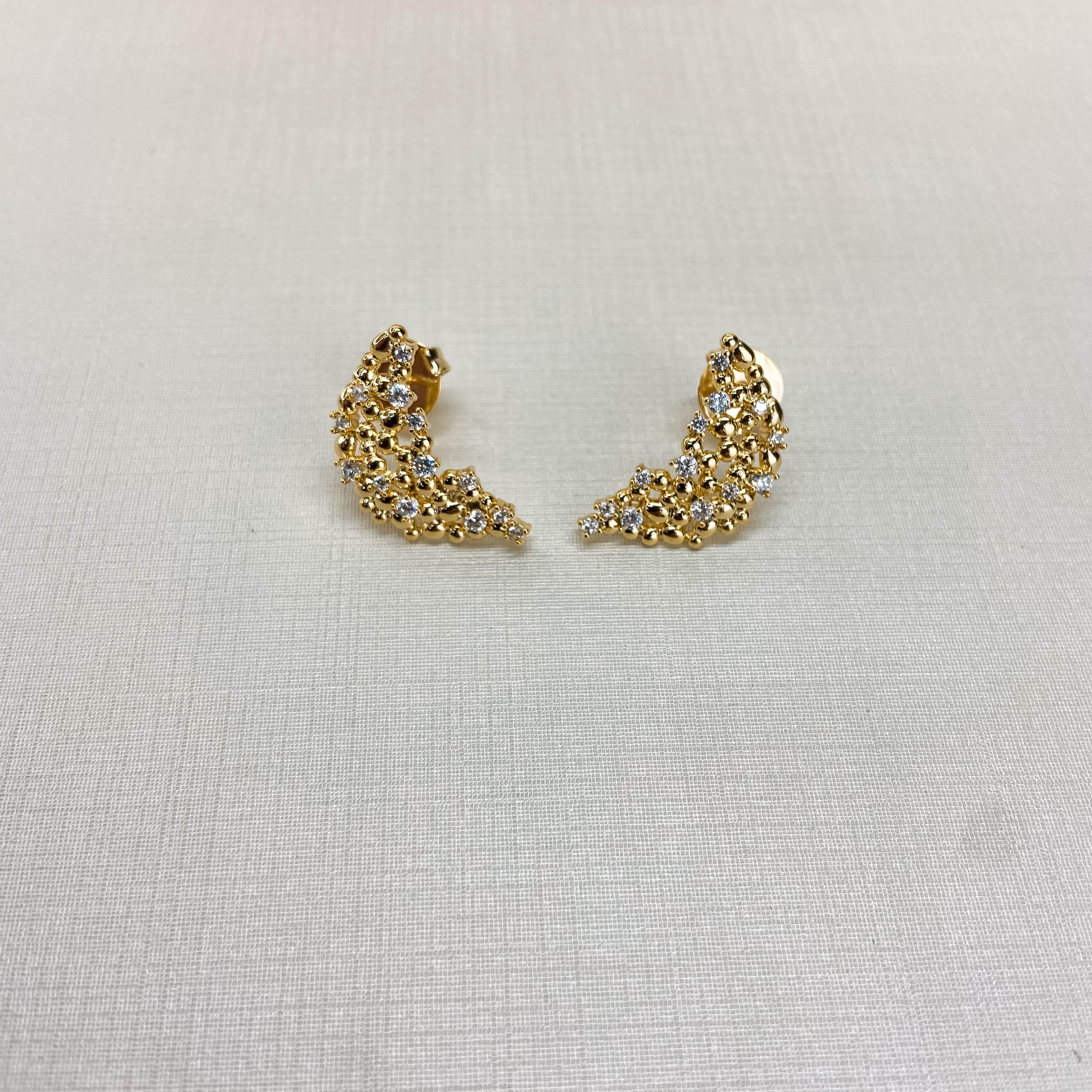 Earrings 220325
